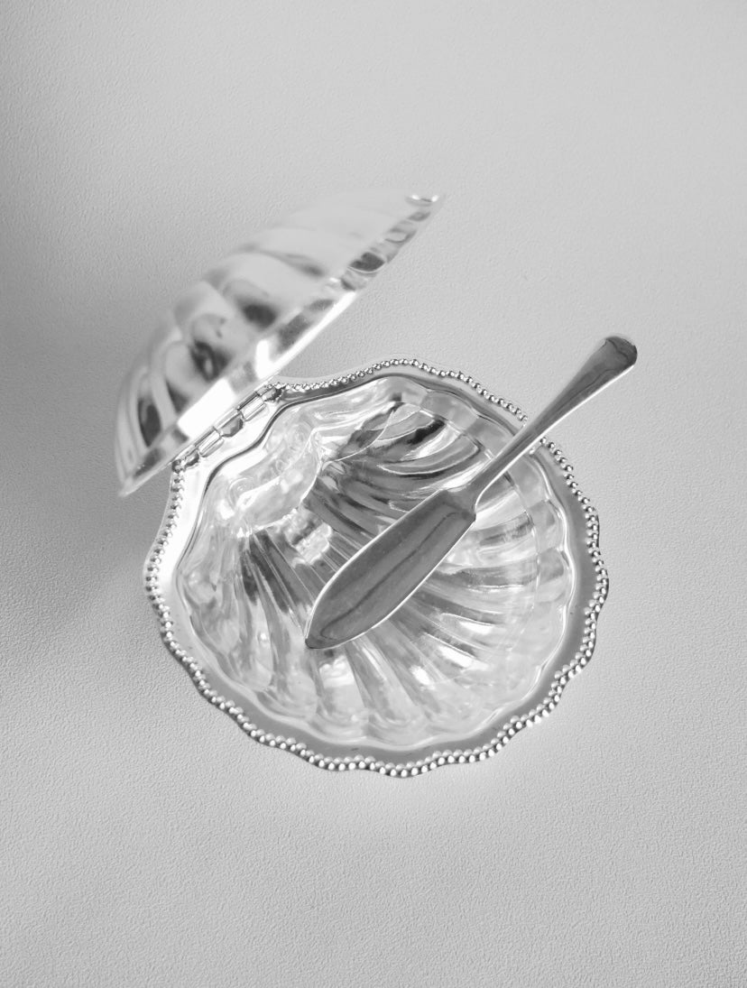 Clear glass shell with a silver spoon inside on a gray background
